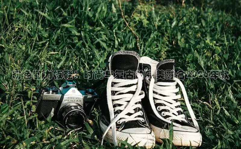领航国际